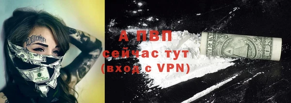 стафф Пролетарск