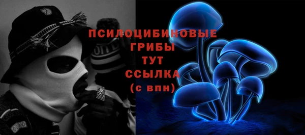 ГАЛЛЮЦИНОГЕННЫЕ ГРИБЫ Богородск