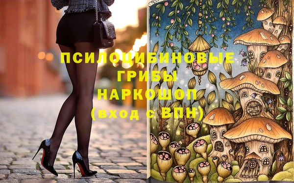 ГАЛЛЮЦИНОГЕННЫЕ ГРИБЫ Богородск
