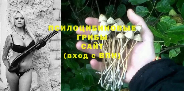 не бодяженный Богородицк