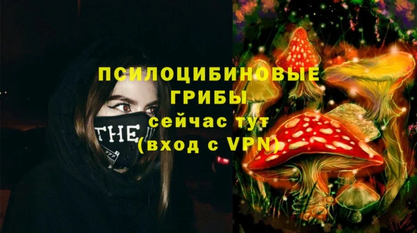 ECSTASY Богданович